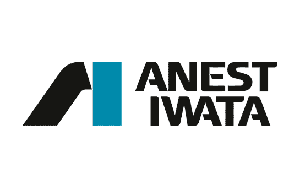 Anest-iwata